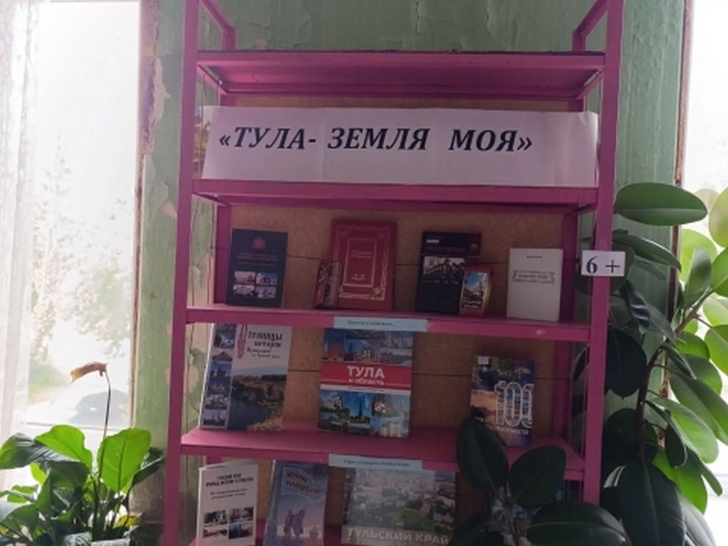 Книжная выставка   «Тула-земля моя» (6+)