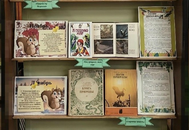 Книжная выставка «Экологический календарь» (12+)