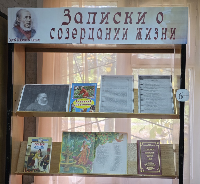 Выставка-настроение «Записки о созерцании жизни» (6+) Выставка-настроение «Записки о созерцании жизни» (6+)