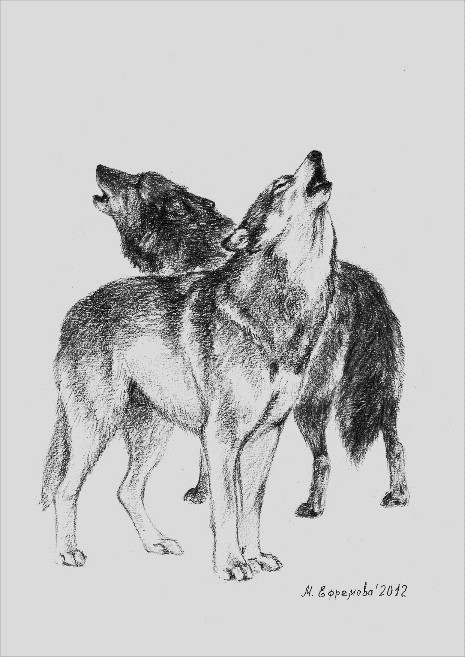 Говори правильно. Как правильно: волчица или волчиха? (12+)