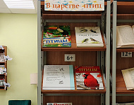 Книжно-иллюстративная выставка «В царстве птиц» (6+)