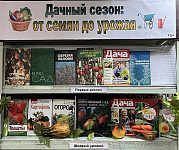 Выставка-инсталляция «Дачный сезон: от семян до урожая» (12+)