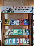 Книжная выставка «Вот оно какое книжное лето» (6+)