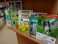 Новые детские книги (0+)