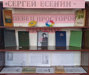 Выставка «Сергей Есенин - певец просторов русских» (12+)